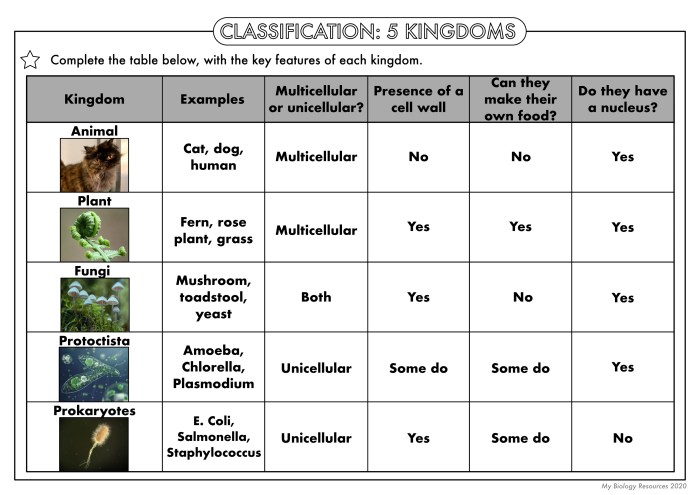 Taxonomy worksheet answer key pdf