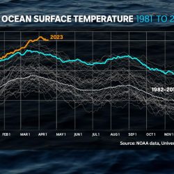 Rutgers marine sea surface temp