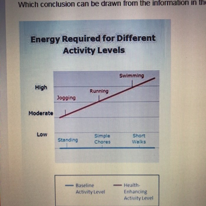 What conclusion can be drawn from the graph