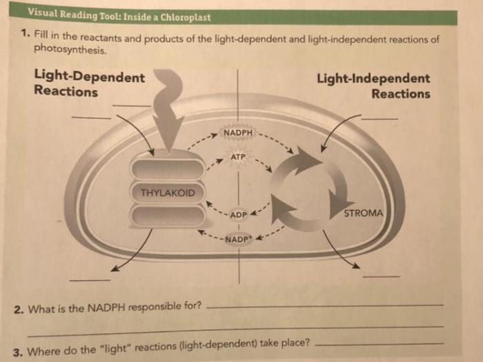 Visual reading tool adenosine triphosphate