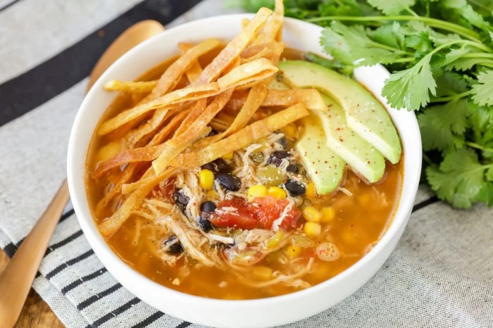 Pappasito's chicken tortilla soup recipe