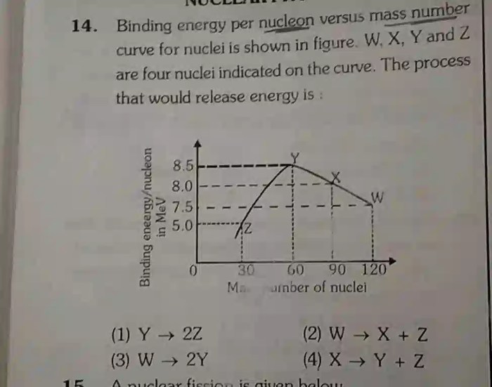 Consistent representing valid conclusion follows