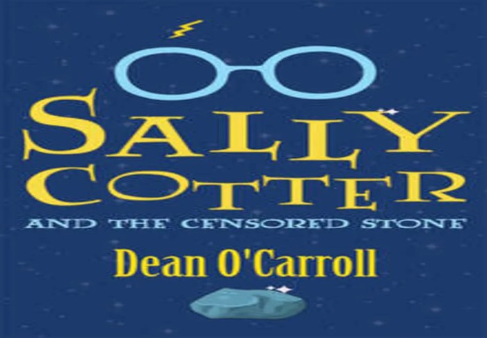 Sally cotter and the censored stone