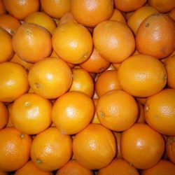 How many oranges are in a bushel