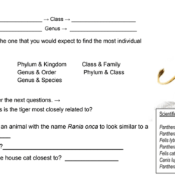 Taxonomy worksheet answer key pdf