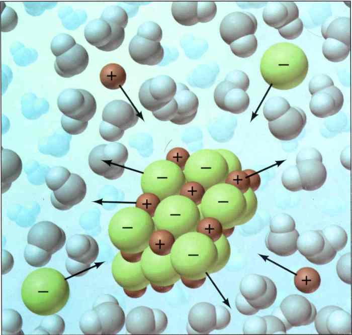 In this animation what is the nacl sodium chloride