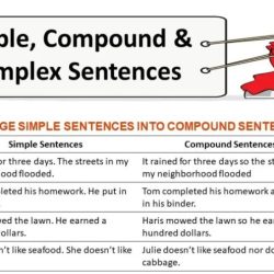 Simple compound and complex sentences worksheet answers