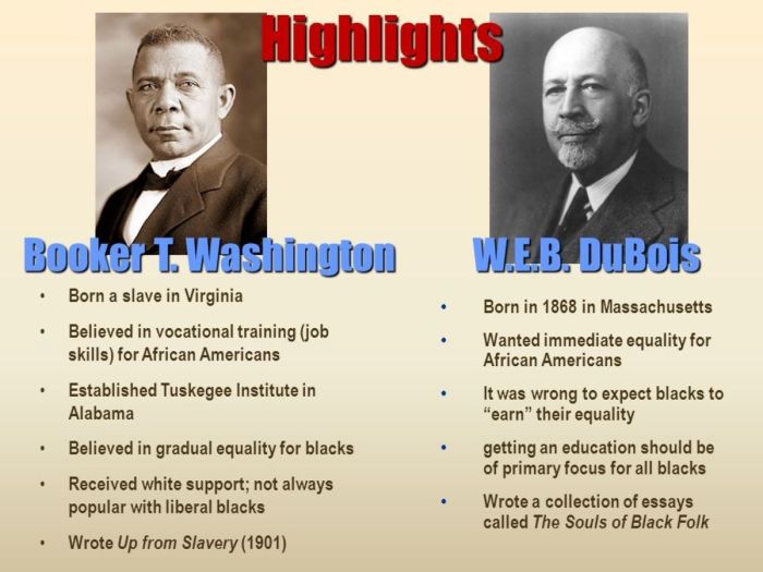 Booker t washington and w.e.b. dubois venn diagram