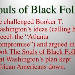 Booker t washington and w.e.b. dubois venn diagram